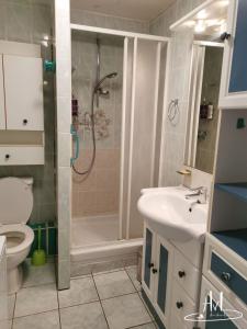 a bathroom with a shower and a toilet and a sink at L appartement du chalet rose in Plombières-les-Bains