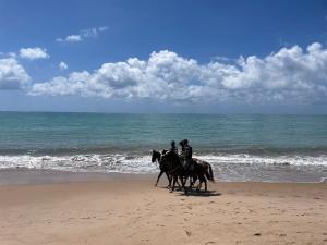 two people are riding horses on the beach at Romantic Sea Villa w/AMAZING SEA VIEW - DIRECTLY ON THE BEACH! in Maceió