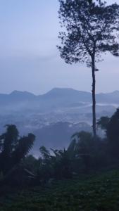 Splošen pogled na gorovje oz. razgled na gore, ki ga ponuja hostel