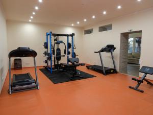 Fitness centrum a/nebo fitness zařízení v ubytování Frank Vendégház