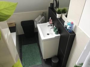 a small bathroom with a sink and a toilet at Sunny dunes in Zandvoort