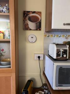 uma cozinha com um micro-ondas e uma torradeira. em In the Heart of Turin em Turim