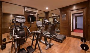 Fitnesscenter och/eller fitnessfaciliteter på Leisure Inn Grand Chanakya