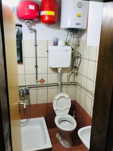 a small bathroom with a toilet and a sink at Woodland Cosy ‘Secret’ Villa in the beauty Osogovo Mountain in Lesnovo