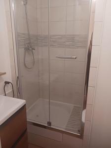 a shower with a glass door in a bathroom at Appartement au pied des pistes in Allos