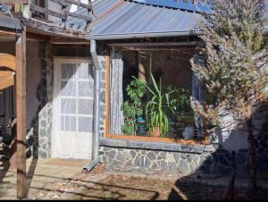 ein Haus mit einem Fenster mit Pflanzen darin in der Unterkunft Vila Dedo Liben in Vratsa