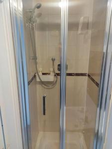 La salle de bains est pourvue d'une douche avec une porte en verre. dans l'établissement Spacious City Centre Apt - O'Connell Street Area, à Dublin
