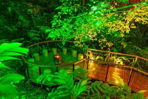 un jardin avec une table ornée de plantes vertes et de lumières dans l'établissement Noah's Forest Hotel by Tifakara, à Fortuna