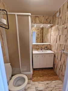 a bathroom with a toilet and a shower and a sink at Superbe appartement meublé avec parking in Saint-Gratien