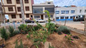 Un jardín fuera de Edy's STD04