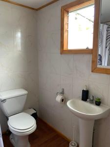 a bathroom with a toilet and a sink at Cabaña centro Frutillar Alto in Llanquihue