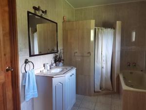a bathroom with a sink and a mirror and a shower at Hostal Casa de Campo Rukaleufu a orillas del Rio Huiscapi in Villarrica +44 photos