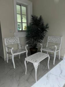 three white chairs and a table and a potted plant at Villa Familiar con Piscina cerca Av Ecológica in La Ureña