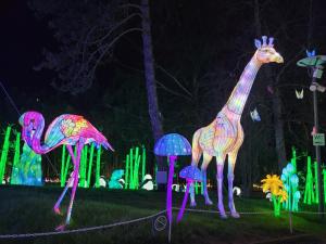 una exposición de jirafas y setas por la noche en Relais de la poste, en Monclar-de-Quercy
