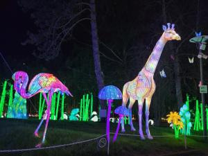 een vertoon van giraffen en paddestoelen 's nachts bij Relais de la poste in Monclar-de-Quercy