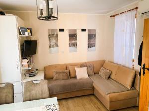 sala de estar con sofá y TV en Apartment Marjetica en Moravske-Toplice