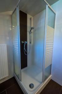 a shower with a glass enclosure in a bathroom at Villa Pia in Reit im Winkl