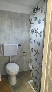 a bathroom with a toilet and a shower curtain at GI&SA in Gallipoli