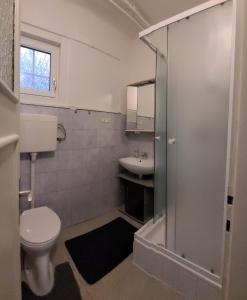 ein Bad mit einem WC und einem Waschbecken in der Unterkunft Appartement Huber - TOP1 in Bruck an der Mur