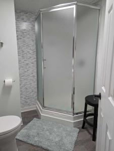 a bathroom with a shower with a toilet and a stool at Suite in the Bush-Private Apartment in Bancroft