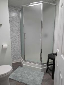 a bathroom with a shower with a toilet and a stool at Suite in the Bush-Private Apartment in Bancroft +57 photos