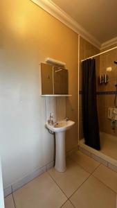 a bathroom with a sink and a shower at BARR AN CHNOIC HOLIDAY LETTINGS in Tipperary