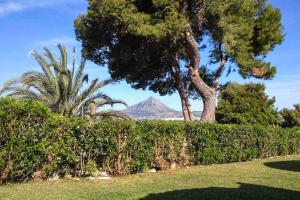Gallery image of Villa La Paz in El Tosalet