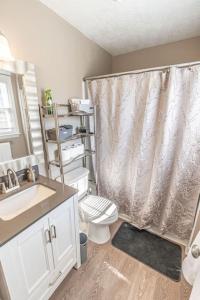 a bathroom with a shower and a toilet and a sink at Fayetteville Home Away from Home, Pet Friendly in Fayetteville