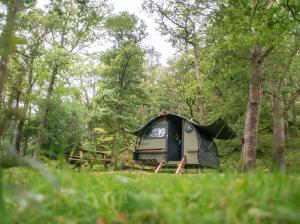 a tent sitting in the middle of a forest at YHA Helvellyn in Glenridding