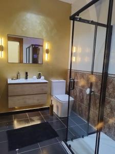 bagno con lavandino, servizi igienici e specchio di Tal-Munfuha- Centrally Located Space. a La Valletta