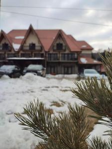 Billede fra billedgalleriet på Pensiunea Ovidiu&Paula i Ibăneşti