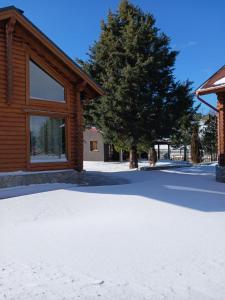 a snow covered yard in front of a house at Orino Livadi Chalet II in Arachova