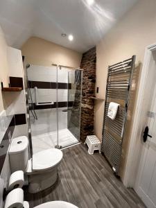 a bathroom with a toilet and a glass shower at Old Manor House in Axbridge +128 photos