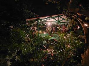 a greenhouse at night with plants and lights at Pear Tree Entire 2BHK Villa Kotagiri in Kotagiri