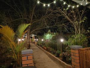 ogród w nocy z oświetleniem i roślinami w obiekcie Pear Tree Entire 2BHK Villa Kotagiri w mieście Kotagiri