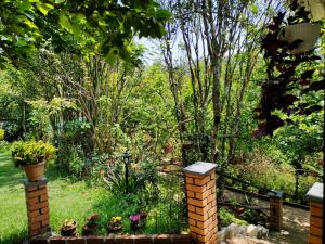 Pear Tree Entire 2BHK Villa Kotagiri外面的花园