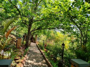 Pear Tree Entire 2BHK Villa Kotagiri外面的花园
