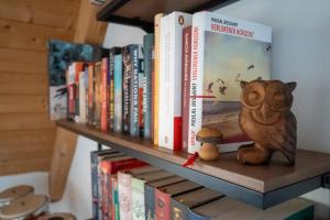 a book shelf with books and a cat on it at FeWo Dattingen am Dorfrand mit Parkplatz, Wlan und Kamin 