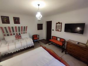 a bedroom with a bed and a tv and chairs at Courtyard Studio in Oradea