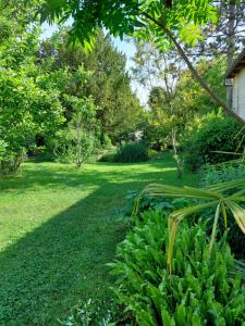 a garden with a yard with green grass and trees at La Guériniere in Châteauneuf-sur-Charente