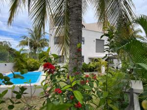 a palm tree in front of a house with a swimming pool at Cosy Apartment in Pereybere - Season Break in Pereybere