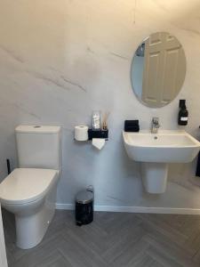 a white bathroom with a toilet and a sink at Castletroy Apartment in Limerick