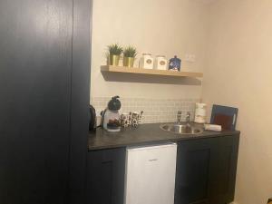 a kitchen with a sink and a counter top at Castletroy Apartment in Limerick
