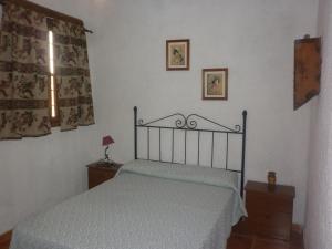 a bedroom with a bed and a window at Alojamiento Rural LA TEJA in Cortes de Baza