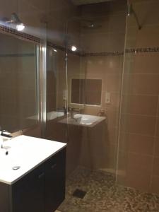 La salle de bains est pourvue d'une douche, d'un lavabo et d'un miroir. dans l'établissement Hulotte, à Soorts-Hossegor