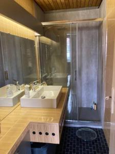 La salle de bains est pourvue d'un lavabo et d'une douche. dans l'établissement Hulotte, à Soorts-Hossegor