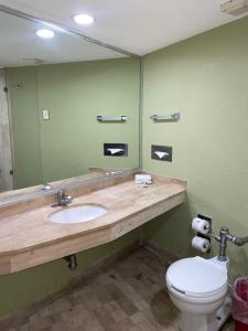 Koupelna v ubytování Hotel Arroyo de la Plata