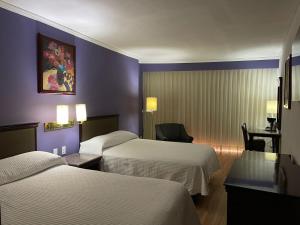 サカテカスにあるHotel Arroyo de la Plataのベッド2台とデスクが備わるホテルルームです。
