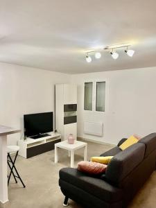 Et tv og/eller underholdning på Cosy Appartement Noisy-le-Sec