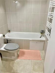 een badkamer met een toilet en een bad bij Cosy Appartement Noisy-le-Sec in Noisy-le-Sec